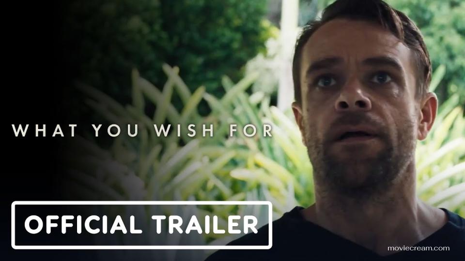 What You Wish For