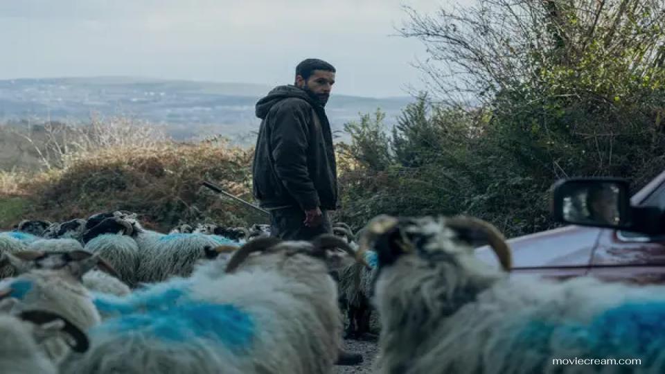 Bring Them Dow (2025) เป็นภาพยนตร์ดราม่าระทึกขวัญที่กำกับโดย Christopher Andrews นำแสดงโดย Christopher Abbott และ Barry Keoghan เล่าเรื่องราวของ Michael (รับบทโดย Abbott) ชายหนุ่มที่อาศัยอยู่กับพ่อของเขาในพื้นที่ชนบทห่างไกลของไอร์แลนด์ ไมเคิลเป็นผู้สืบทอดฟาร์มแกะของครอบครัว แต่ต้องเผชิญกับความตึงเครียดที่เพิ่มขึ้นเมื่อฝูงแกะของเขาถูกขโมย